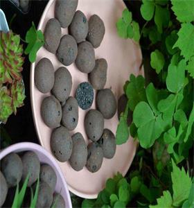 安陸水處理陶粒參考價格產品質量好