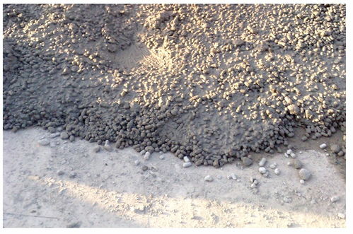 民樂陶?；炷翉S家價格優(yōu)惠