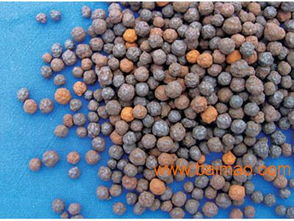 甘肅花卉陶粒與工程陶粒市場淺析